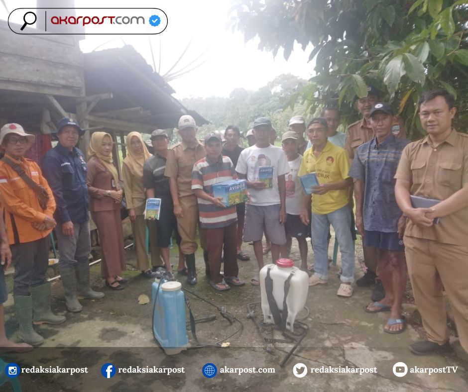 DKPP Pesisir Barat Gelar Gropyokan Wereng, Lindungi Padi Petani dari Ancaman Gagal Panen