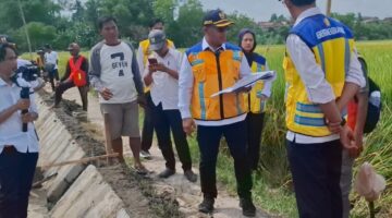 BBWS Mesuji Sekampung Perkuat Ketahanan Pangan Melalui Monitoring Jaringan Irigasi Tersier di Lampung Selatan