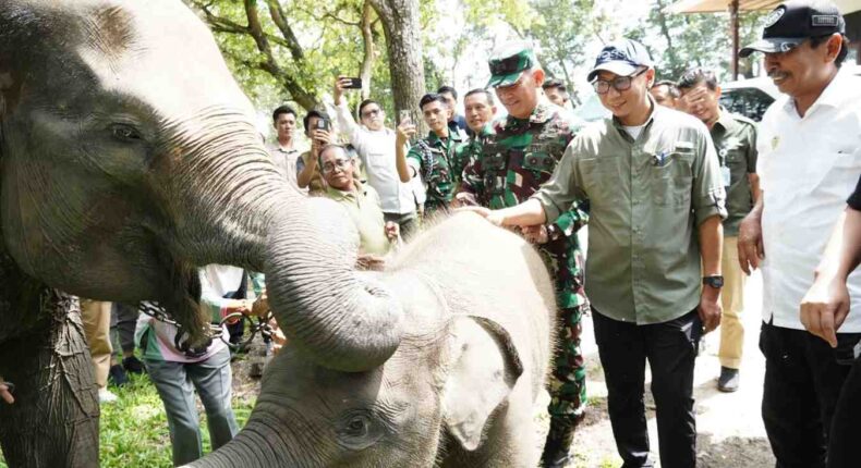 foto slider headline