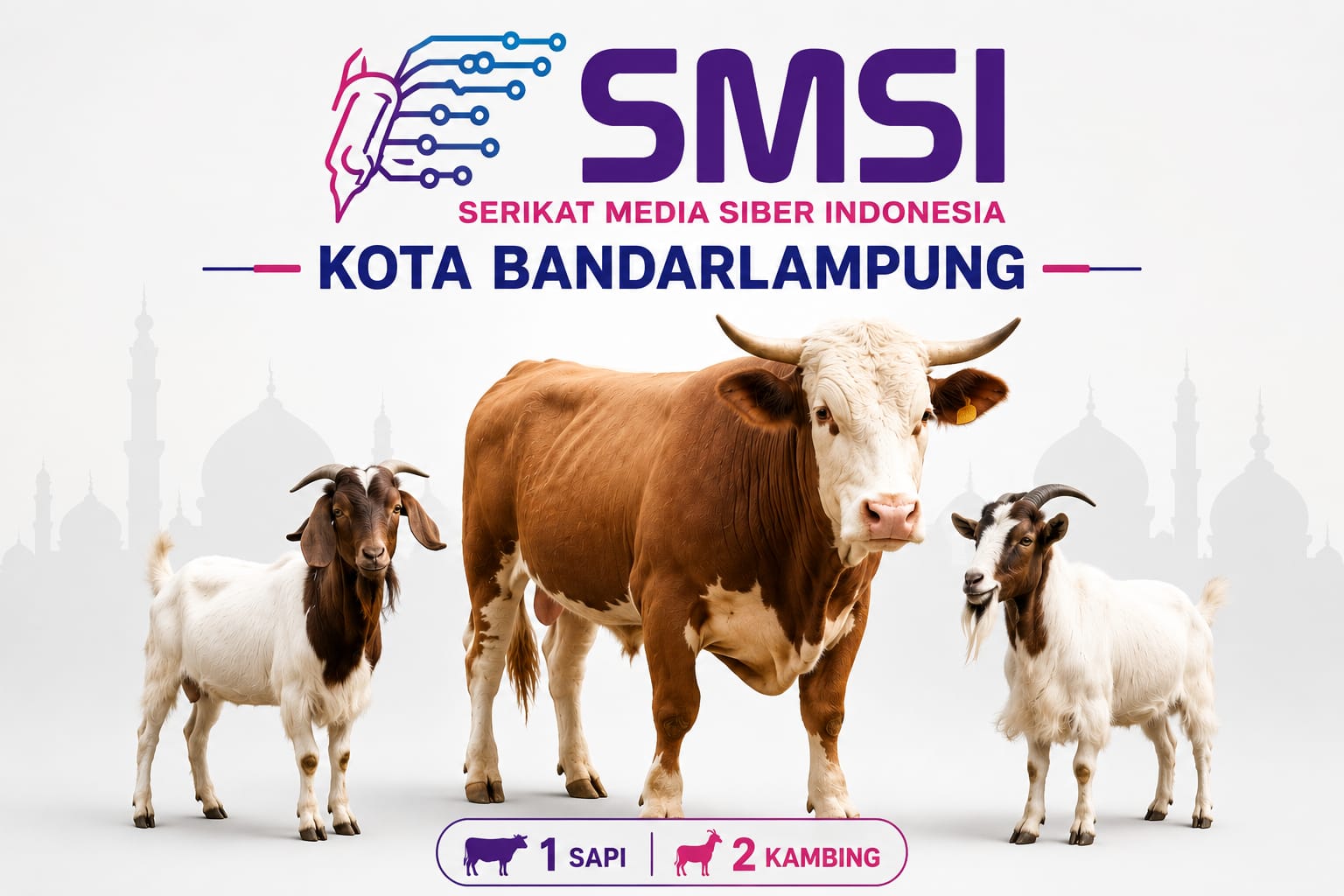 Iduladha 1447 H, SMSI Bandar Lampung Salurkan 1 Sapi dan 2 Kambing untuk Anggota dan Warga